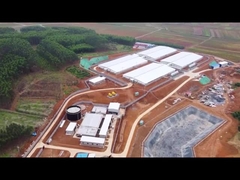 Conducteur de finition de Fattening Pen Piglet Nursery Crate With de barrière de panneau de PVC