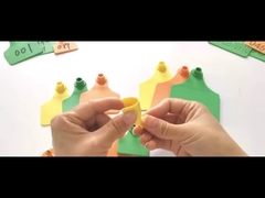 L'identification de bétail d'ODM d'OEM étiquette les marques d'oreille faites sur commande de TPU pour des vaches 11*7.5cm